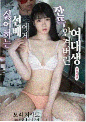 我的天才女友 热播榜
